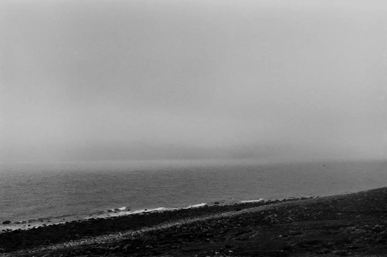 A quiet shoreline disappearing into sea fog